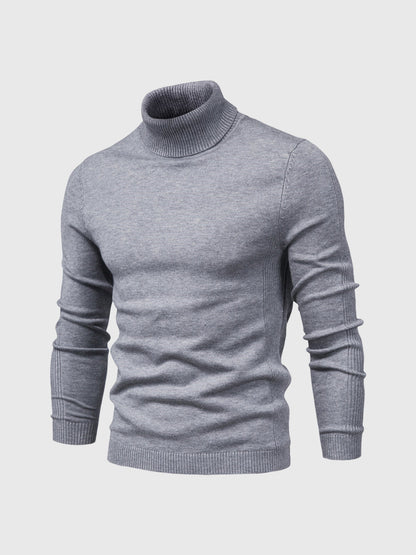 DAVARO – Jersey de hombre de cuello alto slim fit con diseño elegante